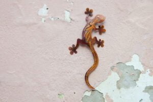 Gecko