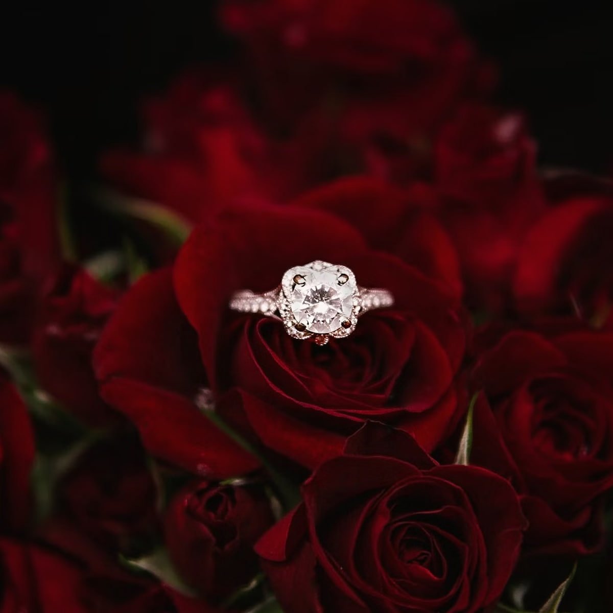 Gifting Jewellery