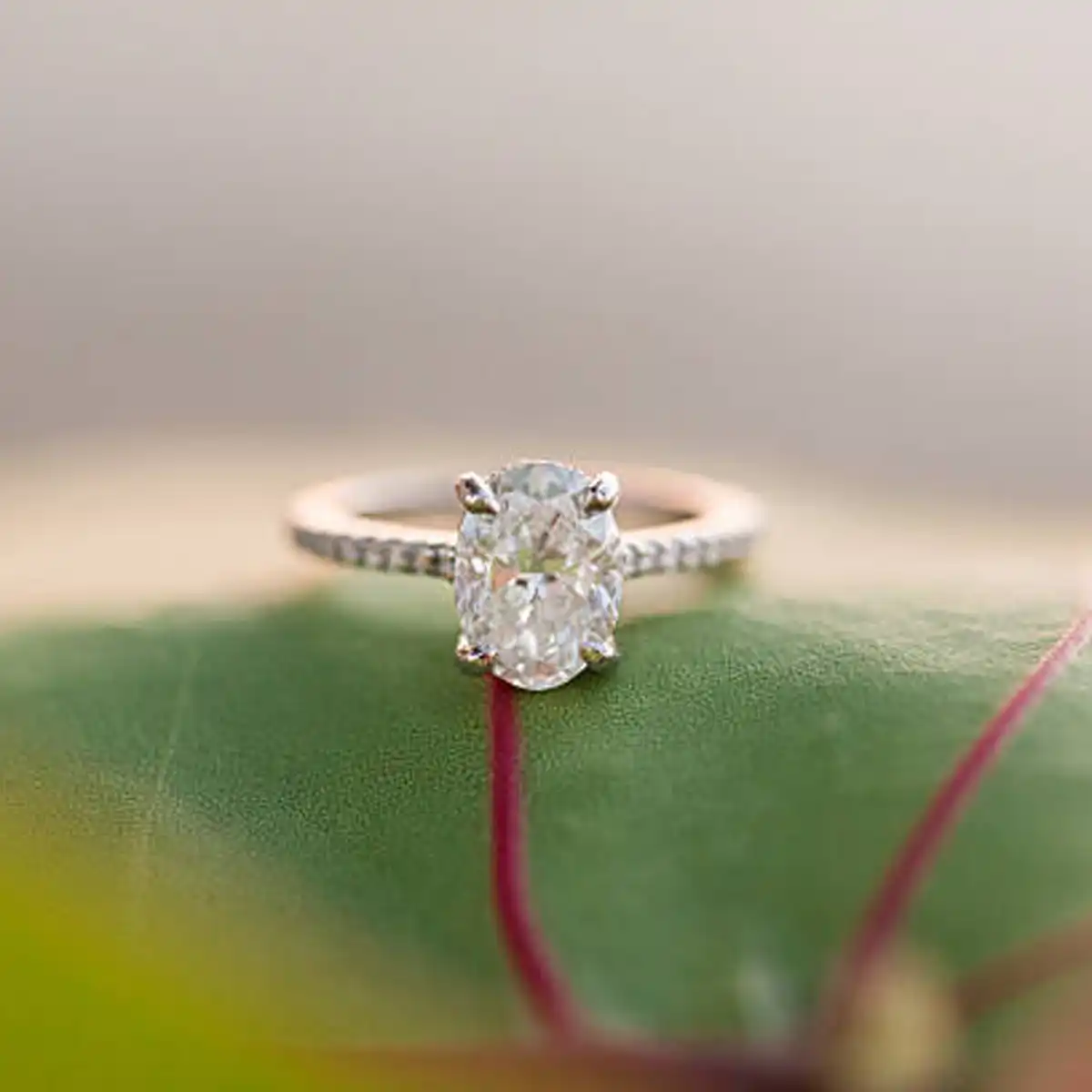 Molly Mae engagement ring 